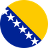 Bosnia and Herzegovina logo