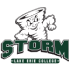 Lake Erie College Storm logo