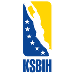 Bosnia and Herzegovina logo