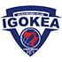 Ιγκοκέα logo