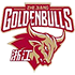 Zhejiang Golden Bulls logo