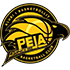 KB Peja logo