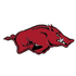 Arkansas Razorbacks