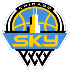 Chicago Sky logo