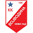 Βoϊβοντίνα logo