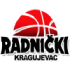 BKK Radnicki logo