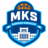 Dabrowa Gornicza logo