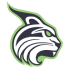 Lesley Lynx logo