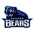 Bakken Bears logo