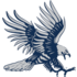Dickinson State Blue Hawks logo