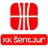 KK Tajfun Sentjur logo