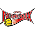 SAN-EN NeoPhoenix logo