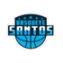 Santos logo