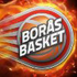 Boras logo