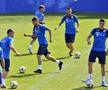 ROMÂNIA - MALTA // VIDEO Cosmin Contra, îngândurat la antrenamentul de astăzi al naționalei + Burleanu prezent la Mogoșoaia