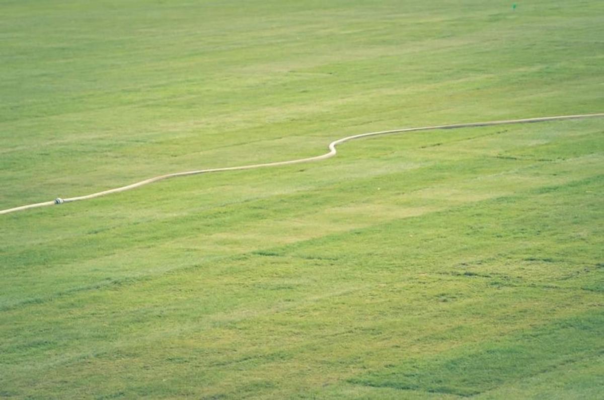 POLI IAȘI // GALERIE FOTO Gazonul de pe „Emil Alexandrescu”, stadionul lui Poli Iași, va fi montat până duminică » Când se vor întoarce moldovenii acasă
