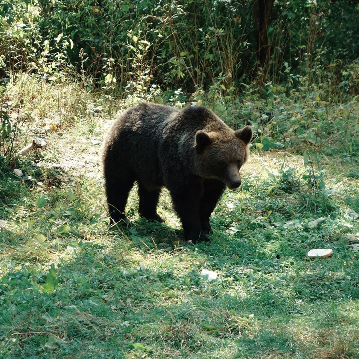 Tomas Berdych, pe Transfăgărășan