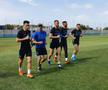 FCSB // VIDEO Vergil Andronache, veste importantă despre Harlem Gnohere » Ce spune despre revederea cu Mihai Teja