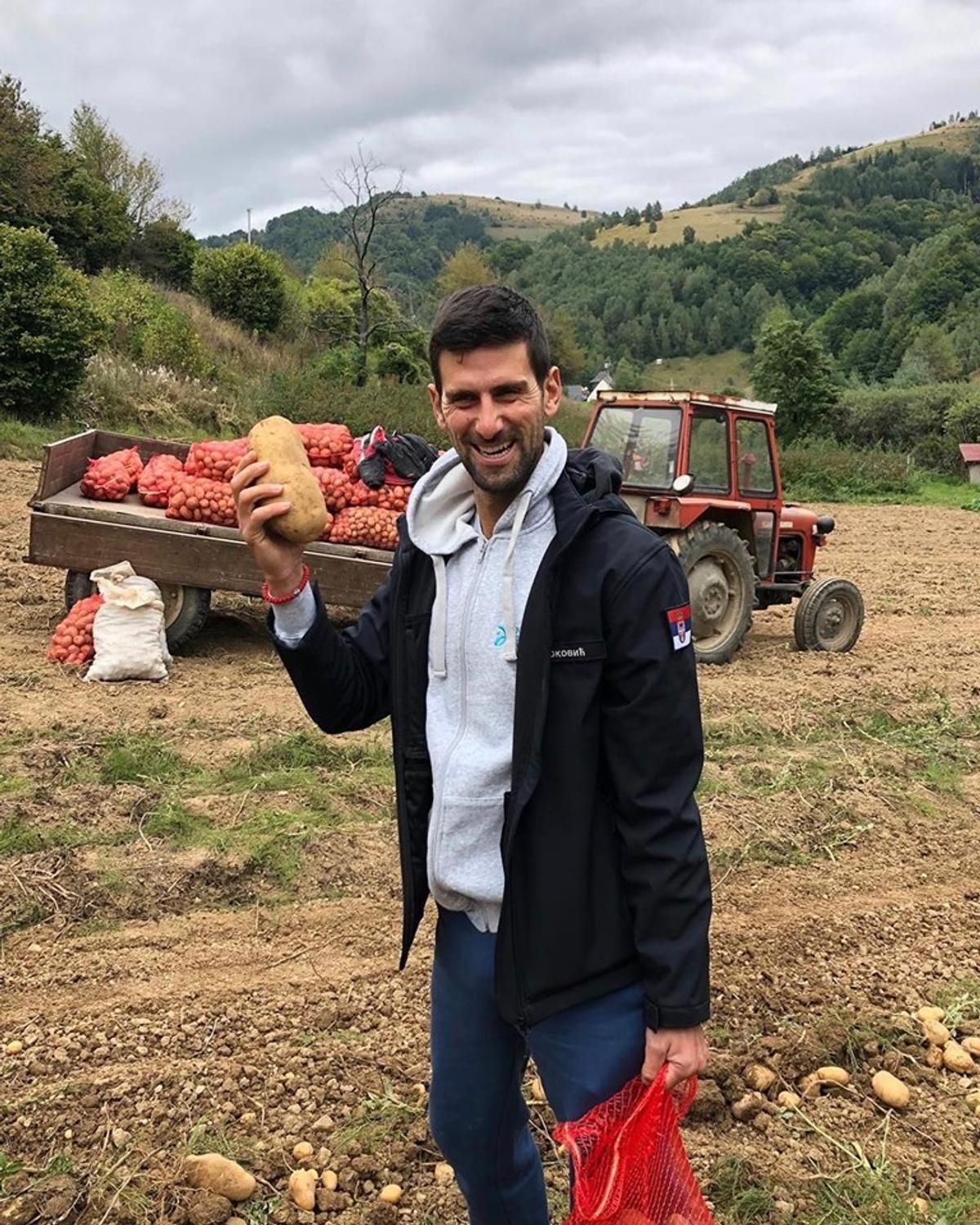 GALERIE FOTO Marele Novak Djokovic, la recoltat cartofi! » Două campioane mondiale din România l-au imitat