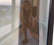 GALERIE FOTO „Woooow! Not censored"! Superba Alexandra Stan a apărut goală pe rețelele de socializare și a explicat secretele unui corp de invidiat