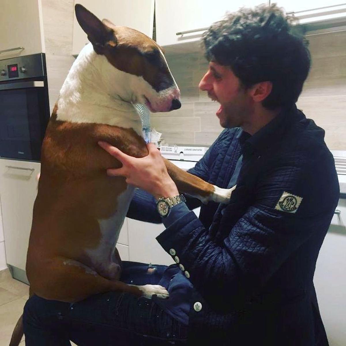 INSTASPORT // FOTO Diego Fabbrini, noua achiziție a lui Dinamo » "Bruce Lee" în alb-roșu