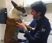 INSTASPORT // FOTO Diego Fabbrini, noua achiziție a lui Dinamo, e „Bruce Lee” în alb-roșu