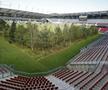 FOTO Imagini incredibile cu un stadion de la Euro 2008! O pădure a ocupat terenul de joc