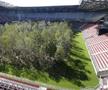 FOTO Imagini incredibile cu un stadion de la Euro 2008! O pădure a ocupat terenul de joc