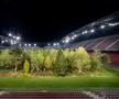 FOTO Imagini incredibile cu un stadion de la Euro 2008! O pădure a ocupat terenul de joc