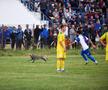 REPORTAJ EXCLUSIV FOTO & VIDEO // Făurei e un oraș animat când joacă echipa lui Bănel, pe care fostul internațional o întreține din banii proprii: Fericire de un miliard și jumătate