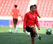 SLAVIA PRAGA - CFR CLUJ // Nicolae Stanciu și colegii săi au făcut antrenamentul oficial înaintea duelului cu CFR Cluj: „Suporterii ne împing de la spate”