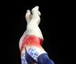 Cu speranță și emoții spre Stuttgart » Echipa feminină de gimnastică a României merge la Mondiale cu un singur gând: Tokyo 2020