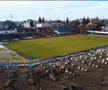 Stadion Târgoviște