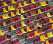 FCSB - Csikszereda, imagini înaintea partidei de pe Arena Națională