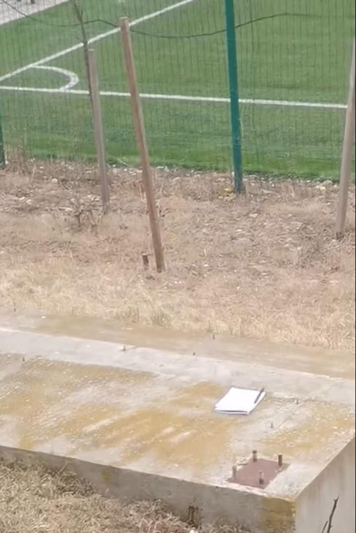 Suporterii de la FC Șoimii Gura Humorului în deplasarea de la Bacău