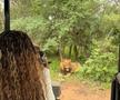 Simone Biles în luna de miere din Africa de Sud