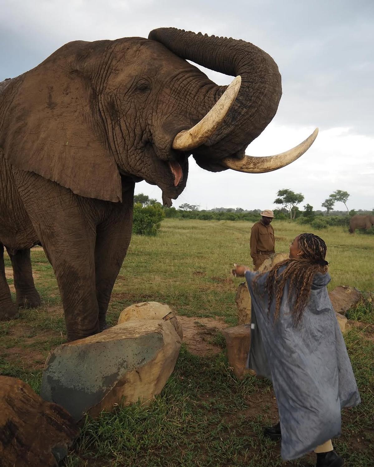 Simone Biles, lună de miere în Africa de Sud, printre lei și elefanți: „Aproape că am făcut pe mine”