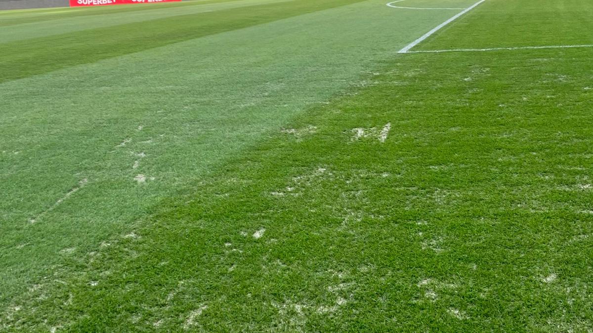 Gazonul de pe Arena Națională, înainte de Dinamo - FC Argeș