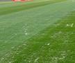Gazonul de pe Arena Națională, înainte de Dinamo - FC Argeș