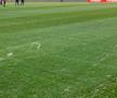 Gazonul de pe Arena Națională, înainte de Dinamo - FC Argeș