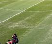 Gazonul de pe Arena Națională, înainte de Dinamo - FC Argeș