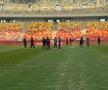 Gazonul de pe Arena Națională, înainte de Dinamo - FC Argeș