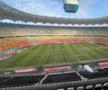 Gazonul de pe Arena Națională, înainte de Dinamo - FC Argeș