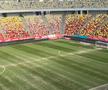 Gazonul de pe Arena Națională, înainte de Dinamo - FC Argeș