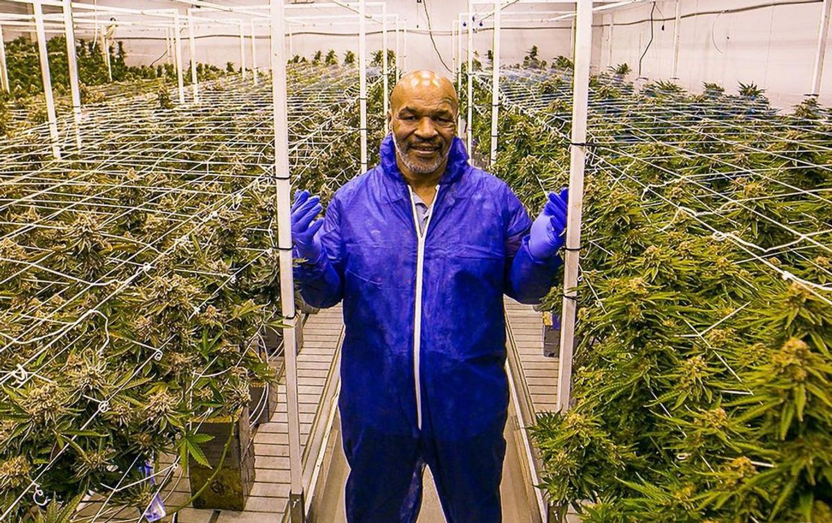 Mike Tyson