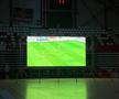 Fanii lui Dinamo văd meciul cu Petrolul din Sala Polivalentă