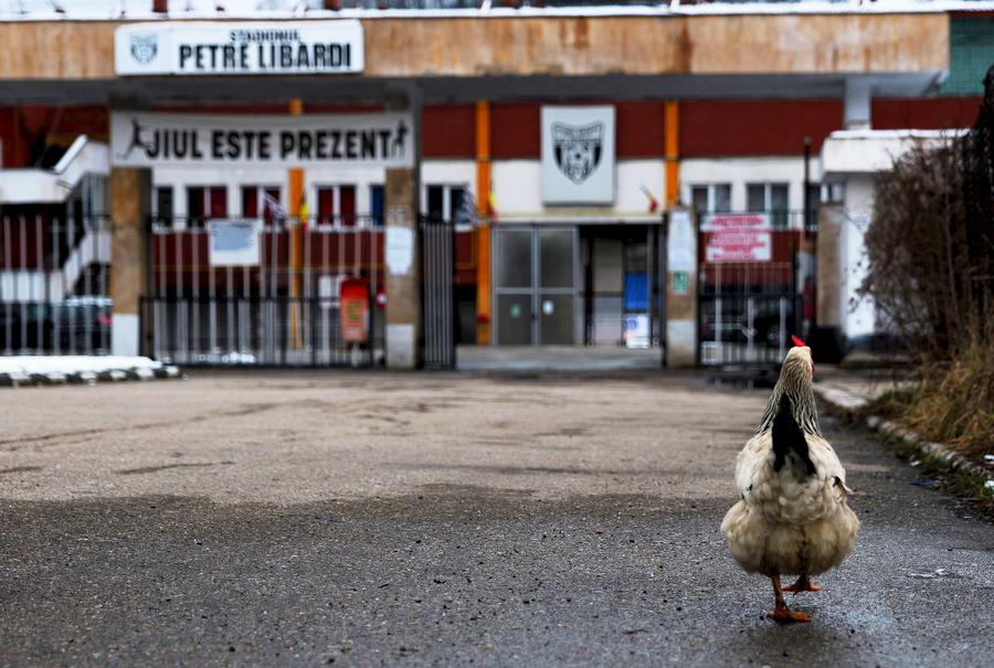 „JIUL ESTE PREZENT” - Gazeta a vizitat stadionul „Petre Libardi” din Petroșani. Nu am fost singuri. Foto: Andrei Furnigă (GSP) Sub stăpânirea lui Ridzi: Jiul Petroșani, „vaca de muls”, între blaturi la pariuri și control politic total! „Semnați pentru 7.000 de lei, dar luați și voi câte 2.500!”