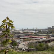 Fostul stadion „8 mai” - Constanța 2021 FOTO Răzvan Butcaru