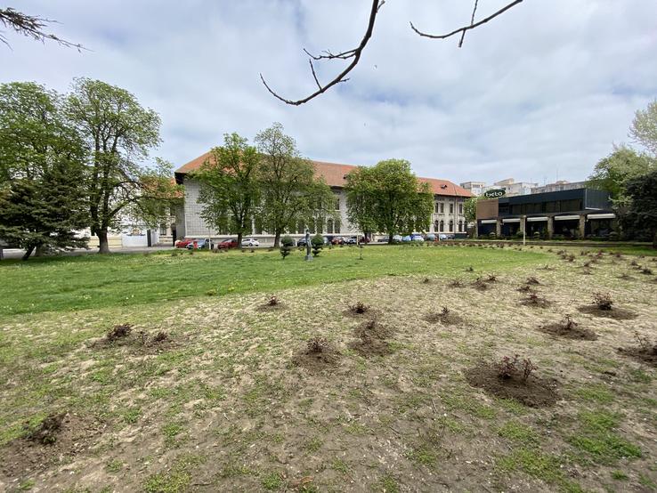Al 2-lea stadion construit în Constanța - În prezent, parcul Colegiului Național „Mircea cel Bătrân” FOTO Răzvan Butcaru