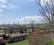 Fostul stadion „8 mai” - Depozit de cherestea în 2021 FOTO Răzvan Butcaru